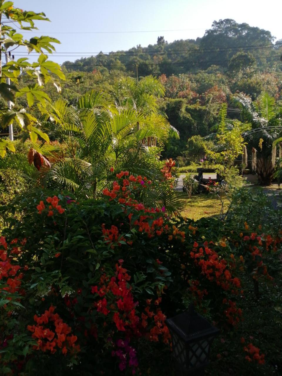 Bed & Breakfast To-Co Sichon Exterior foto